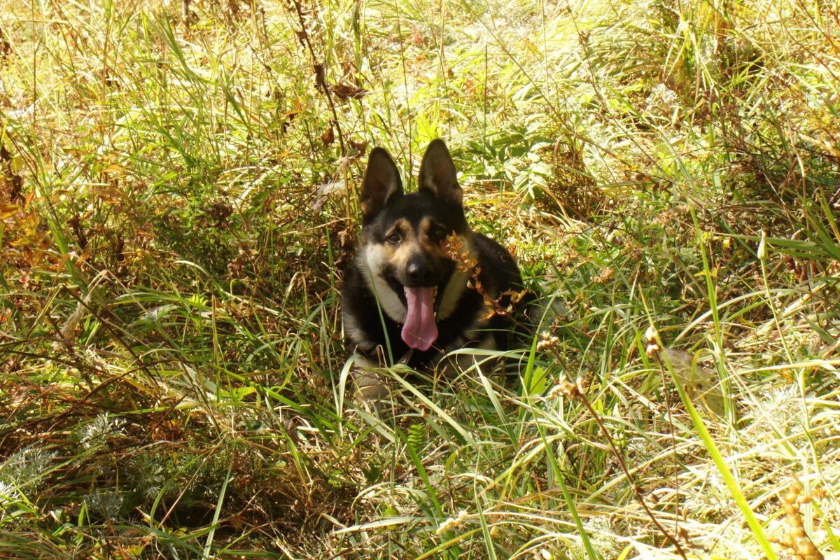 На природе в горах.