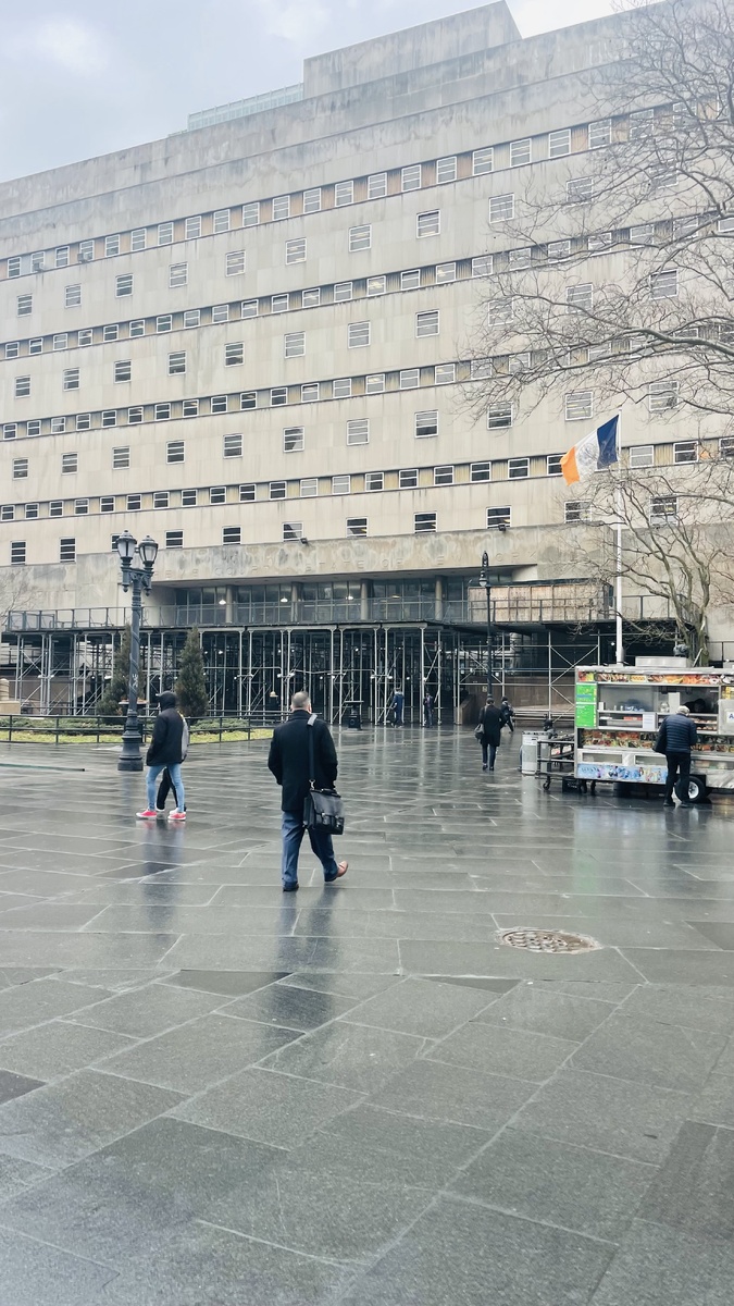 Surrogate’s Court по наследственному делу в Бруклине, Нью-Йорк, США 