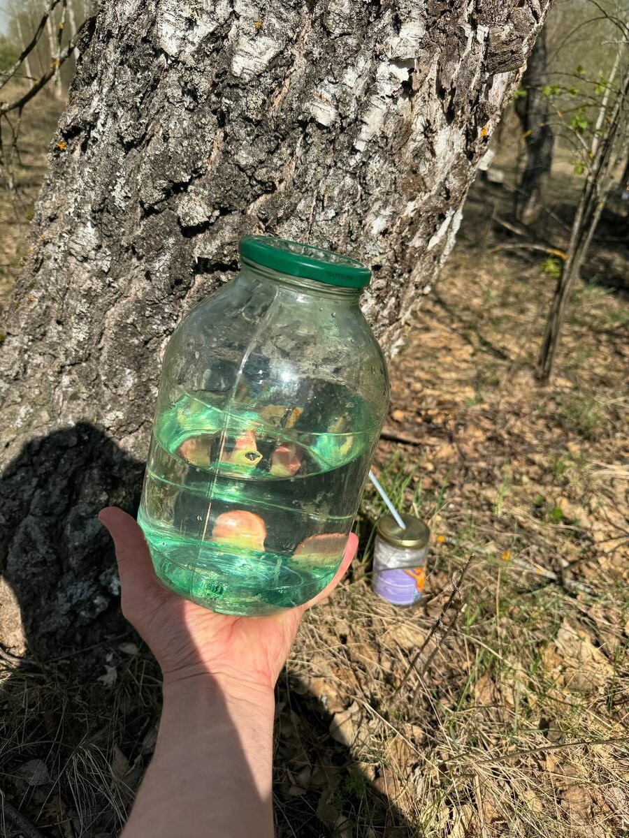 Лесной элексир