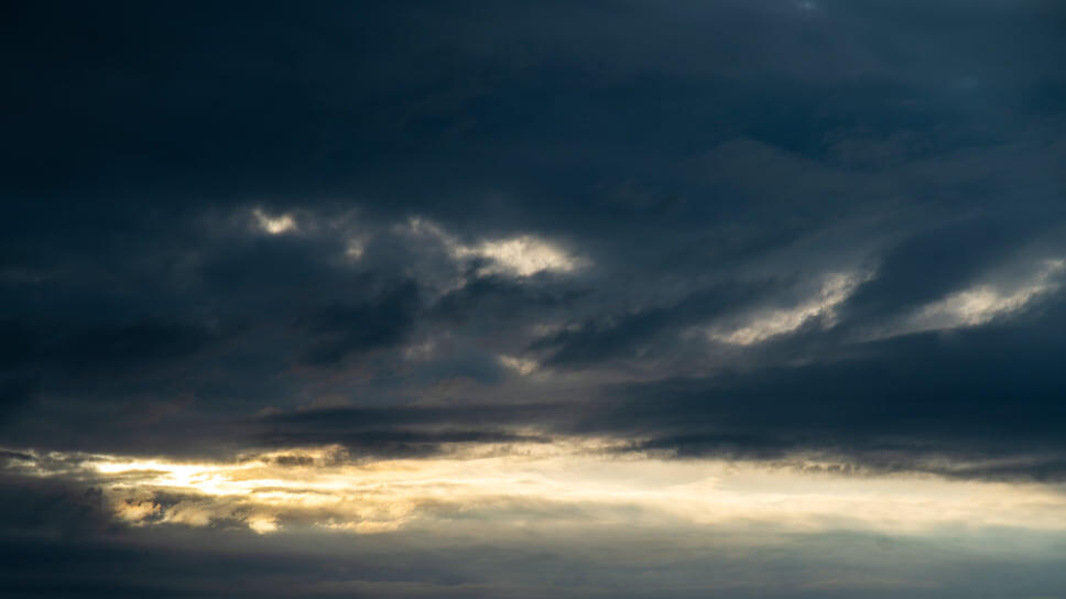 Фото: Олег Харсеев / Коммерсантъ