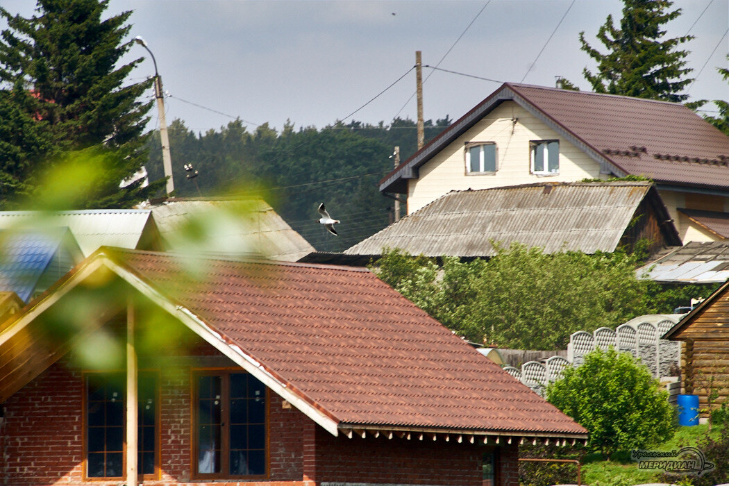    Фото Лидия Аникина © ИА «Уральский меридиан»