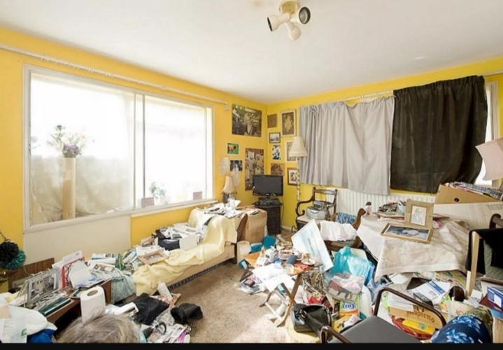 Картинка из интернета.Квартира,в которой клопам есть где спрятаться.