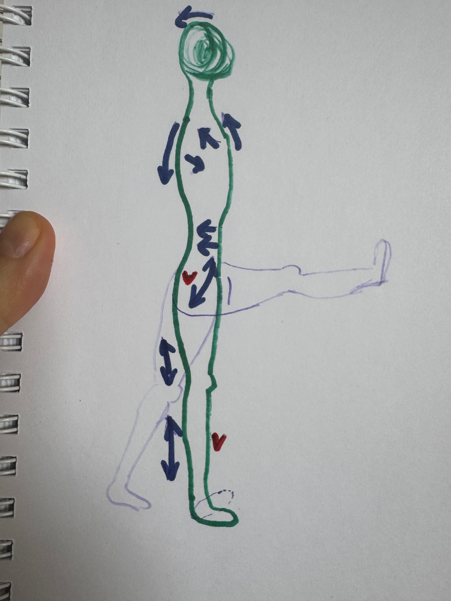 Фазически-тоническая балансировка тела с перемещением фасций на их законное юное место