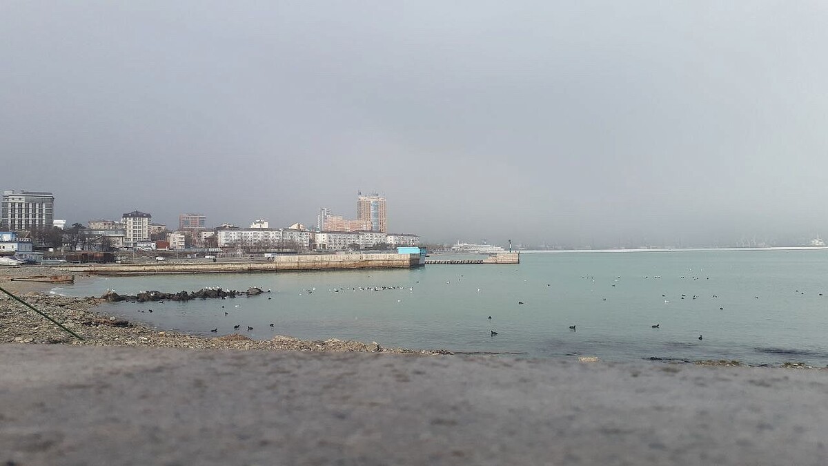    Фото: телеканал «Краснодар»