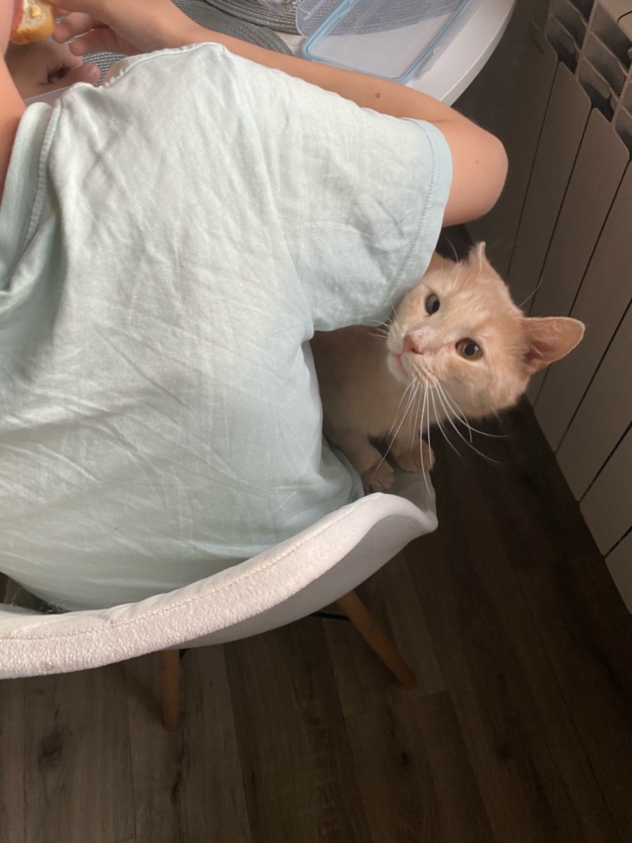 Говорят, позволяет себе даже в тарелку лезть