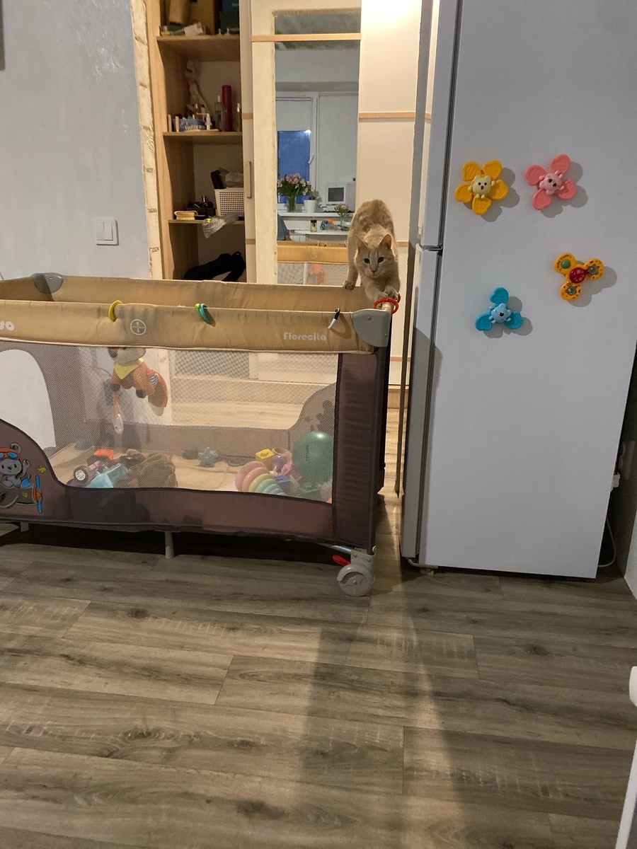 Отличный вольер с игрушками и когтеточкой, самое подходящее место для кота