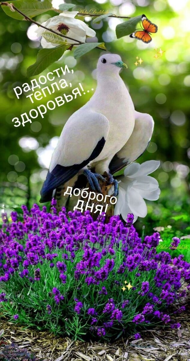 Фото из свободного доступа интернета