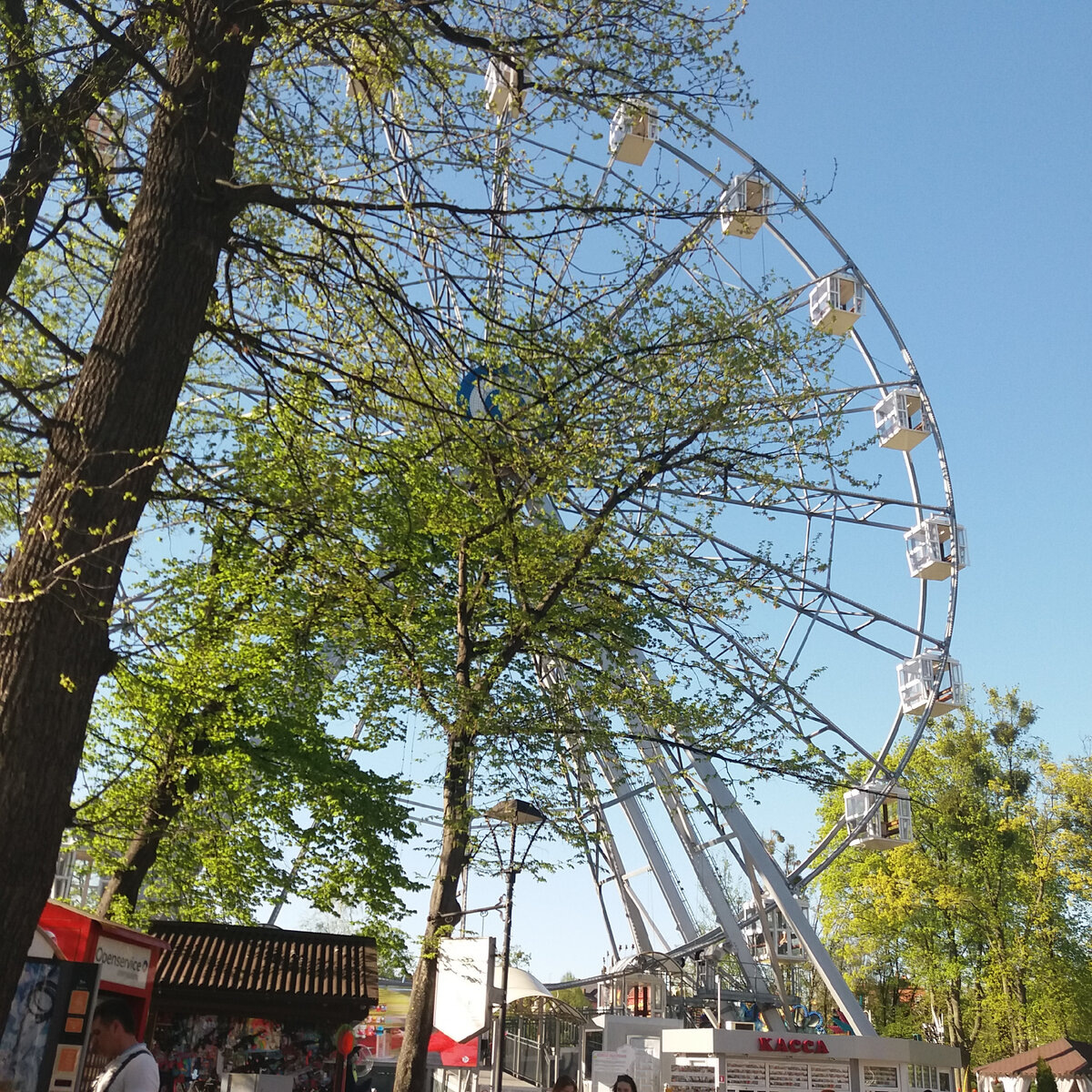 Аттракцион "Колесо обозрения".