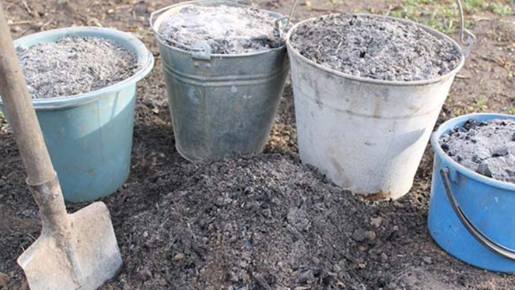 Основа раствора - натуральная древесная зола, полученная после сжигания березовых или яблоневых веток