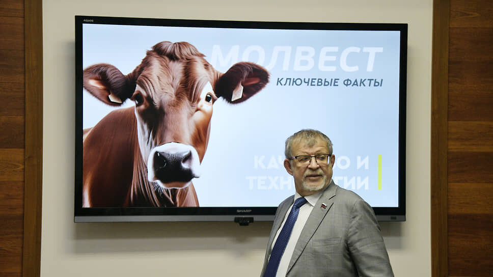 Аркадий Пономарев заявил, что проект планируется реализовать за 2–2,5 года.📷Фото: Андрей Архипов / Коммерсантъ