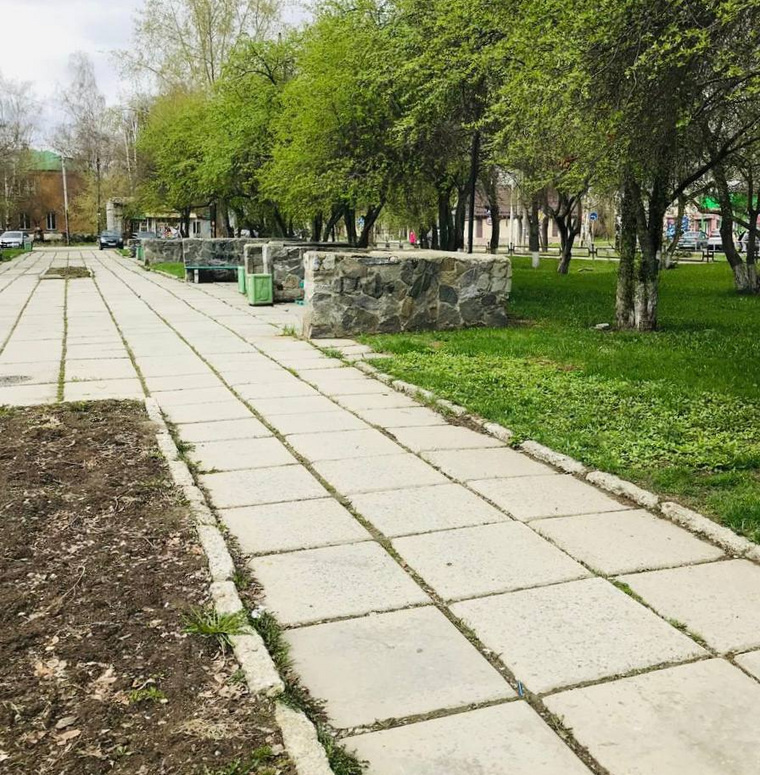 Фото: telegram-канал Дениса Паслера