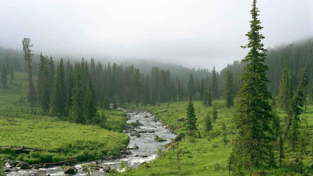    Vladimir Skovorodnikov/Globallookpress
