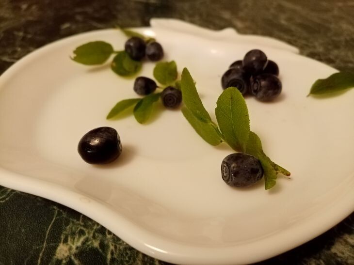 Фото: ТУТ НЬЮС