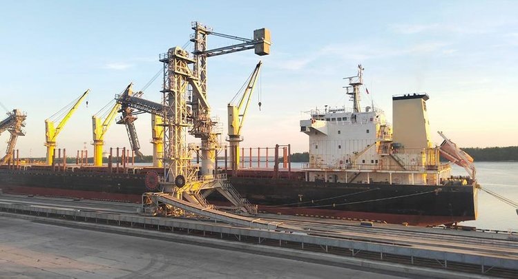    Какие перспективы российского зерна на рынке Вьетнама