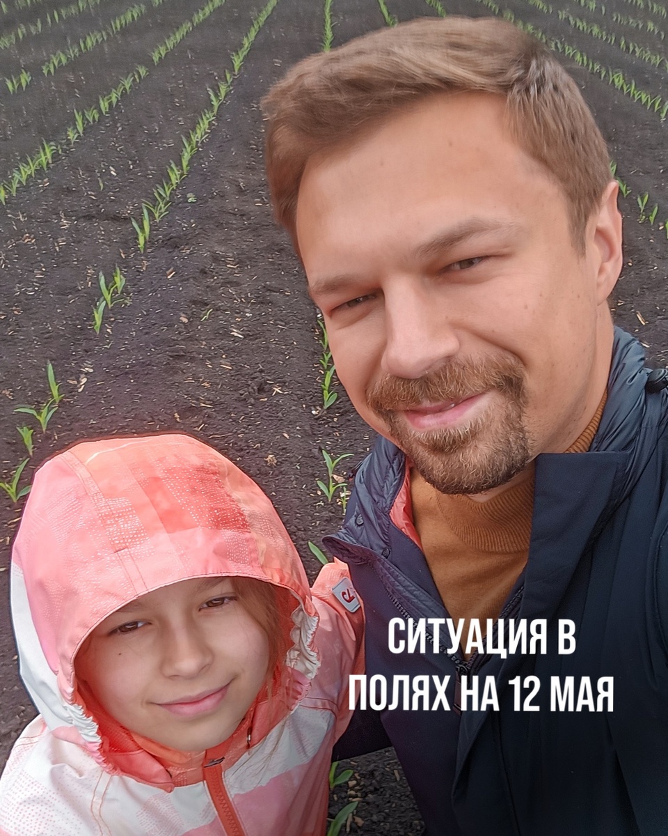 РЕАЛЬНАЯ СИТУАЦИЯ В ПОЛЯХ НА 12 МАЯ
