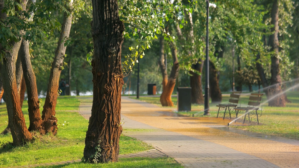 В районе Юбилейный почти не было парков — теперь здесь тенистые аллеи, газоны и набережная Источник Elements Envato