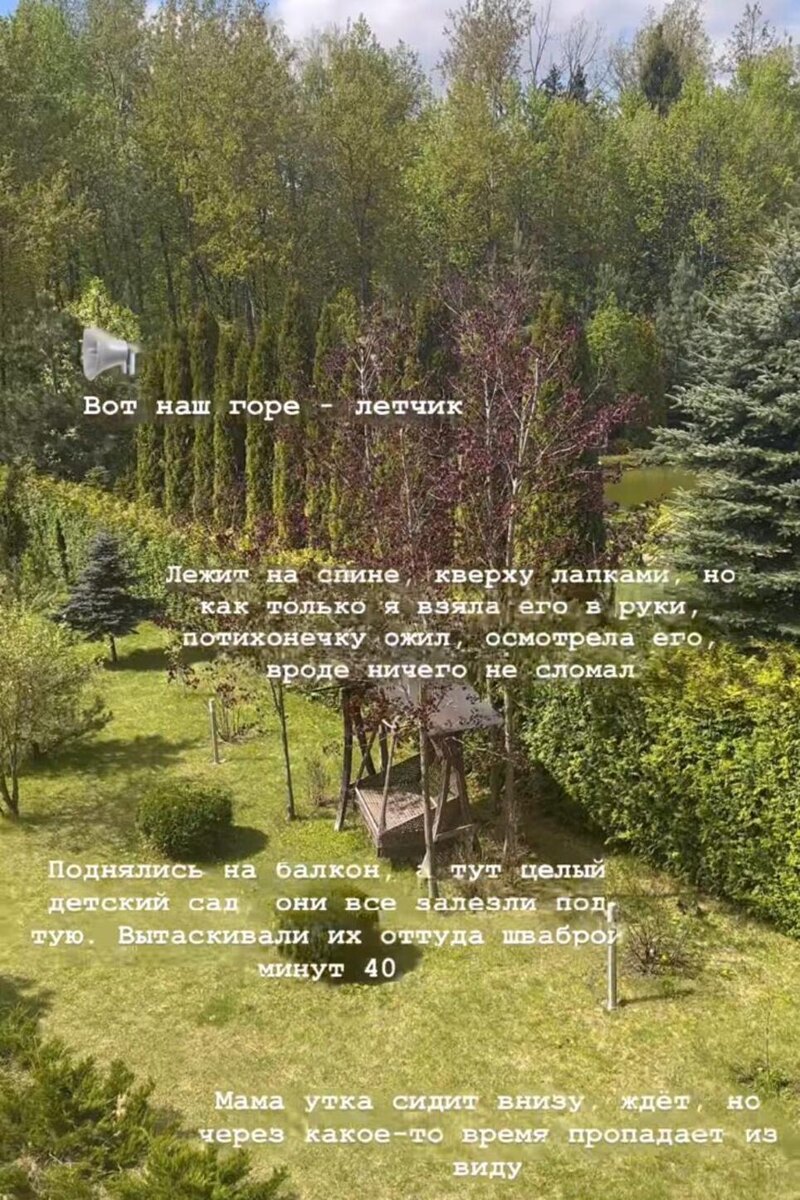  Загородный дом Анны Заворотнюк Соцсети
