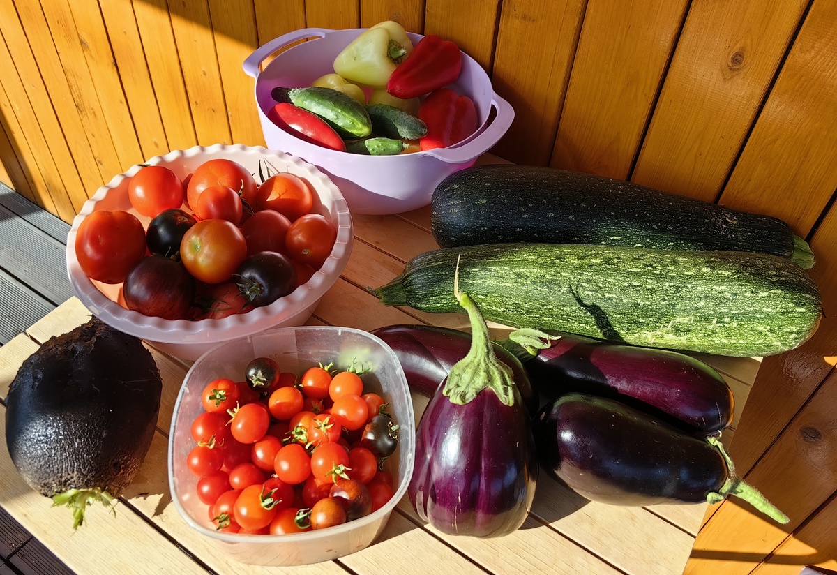 прошлогодний натюрморт