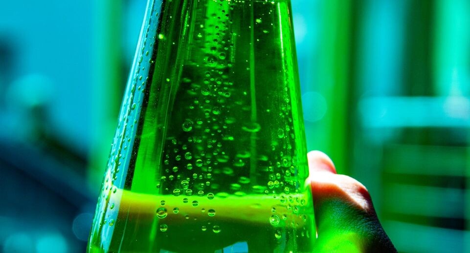    Svetlana Vozmilova/Global Look Press / www.globallookpress.com