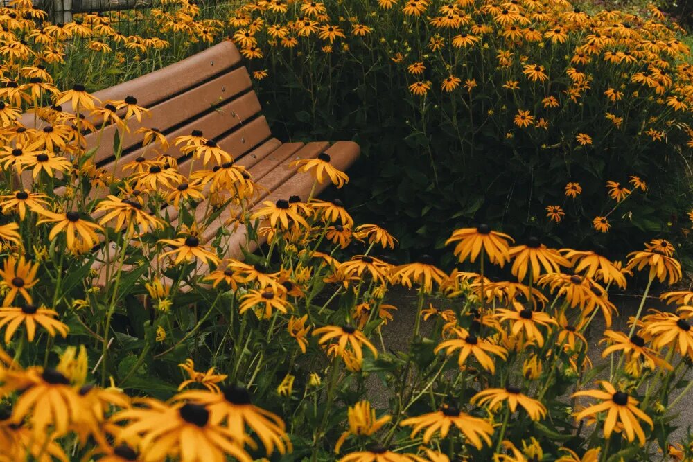 Источник: Kier In Sight / Unsplash