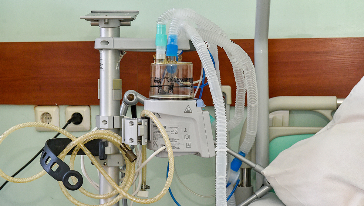    © Константин Долгановский