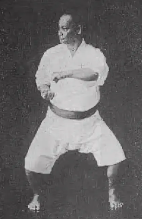 Мотобу Тёки. Фото из открытых и сточников. 