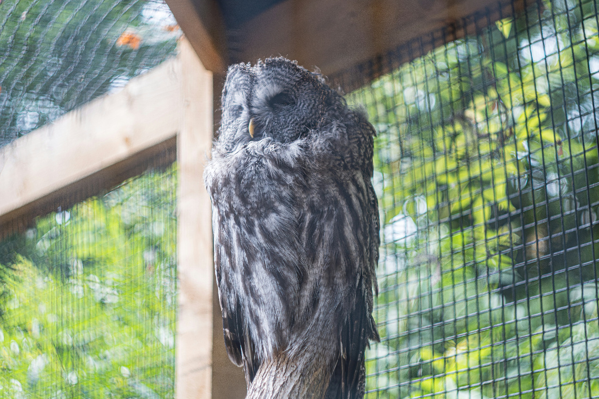 Картинка с бесплатного фотостока https://unsplash.com, автор Howard Senton