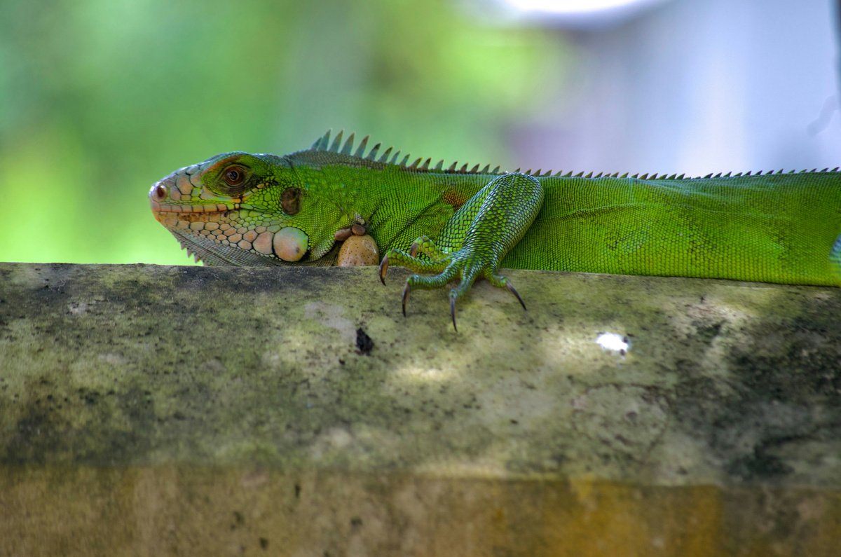 Картинка с бесплатного фотостока https://unsplash.com, автор Anoeskha B