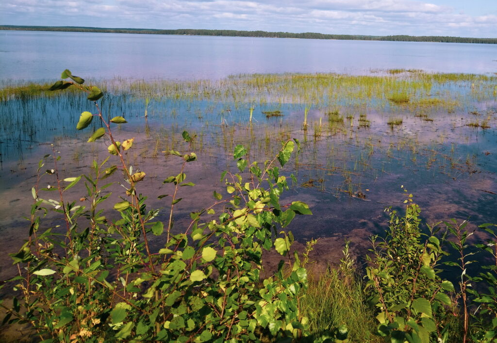    Фото: В курсе.ру Ульяна Бажанова