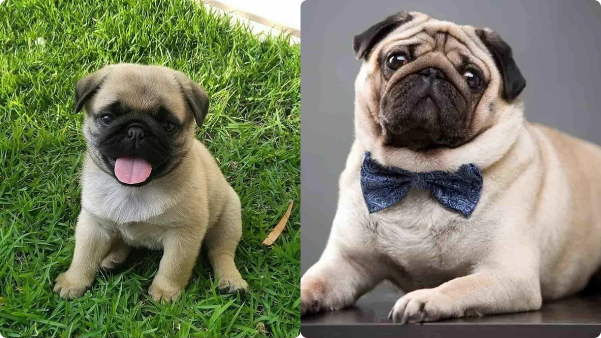 Очень позитивные