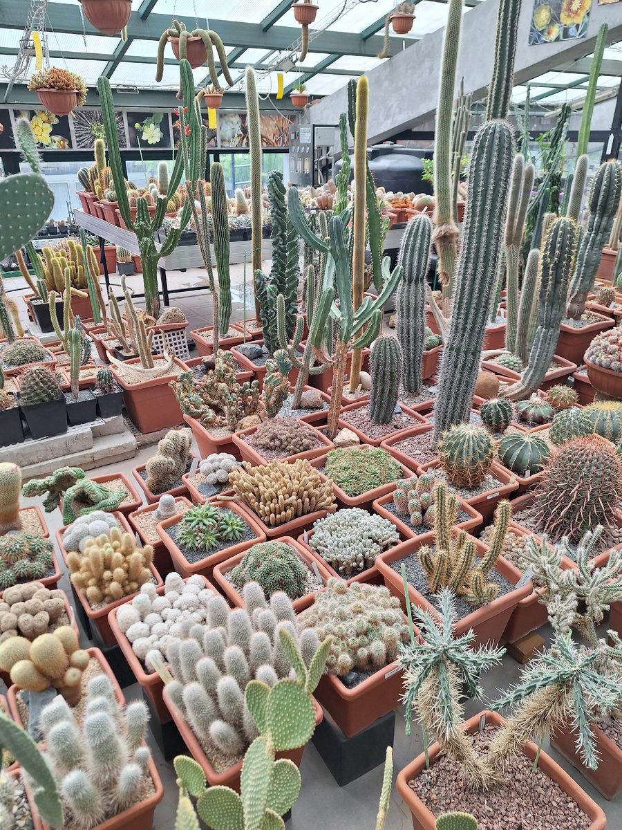 Фото - собственность автора канала.