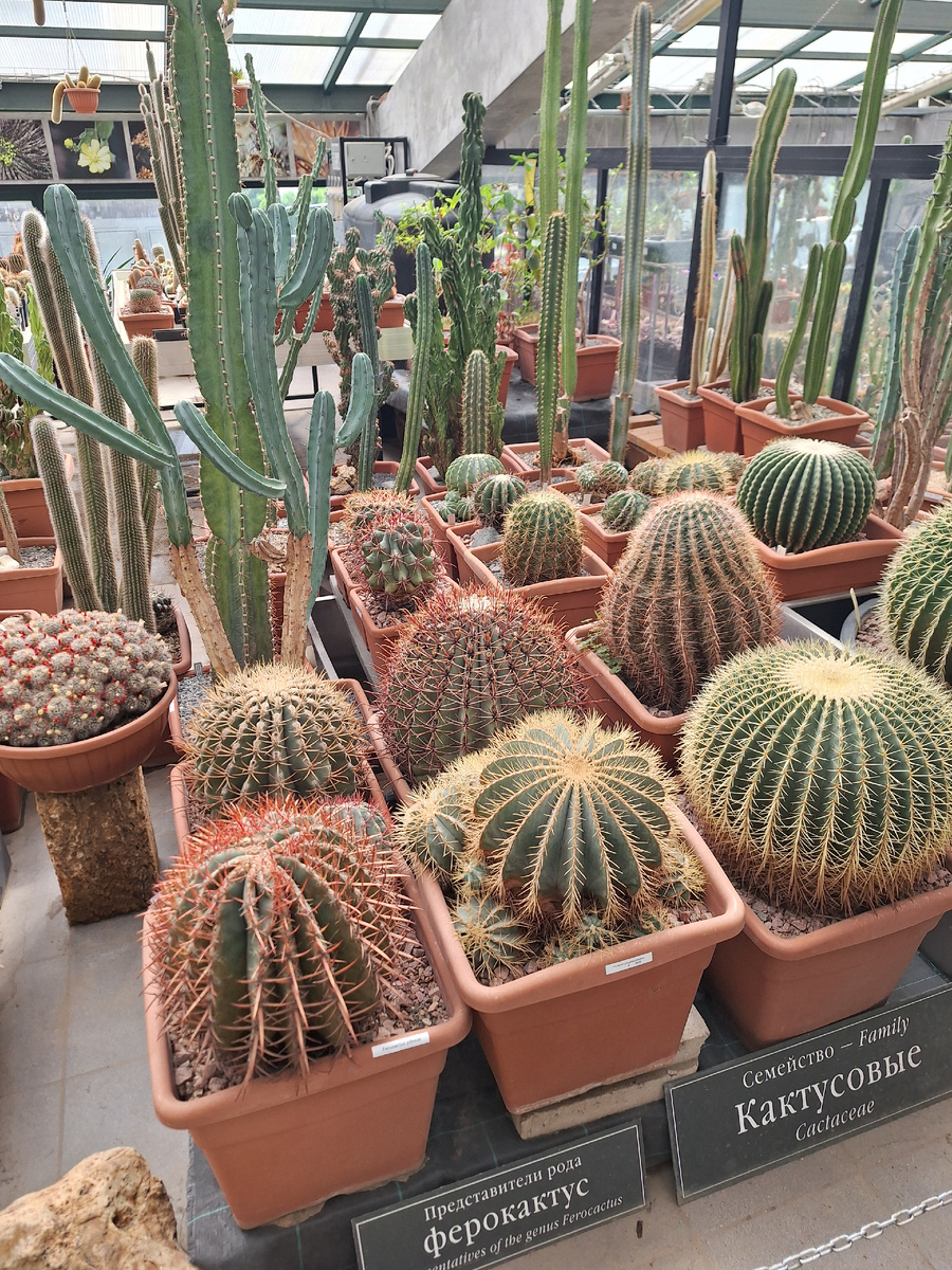 Фото - собственность автора канала.