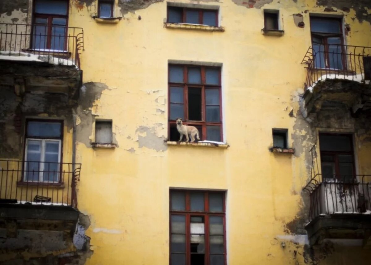    Узница гетто из Сосногорска с 2010 года живет в непригодном жилье