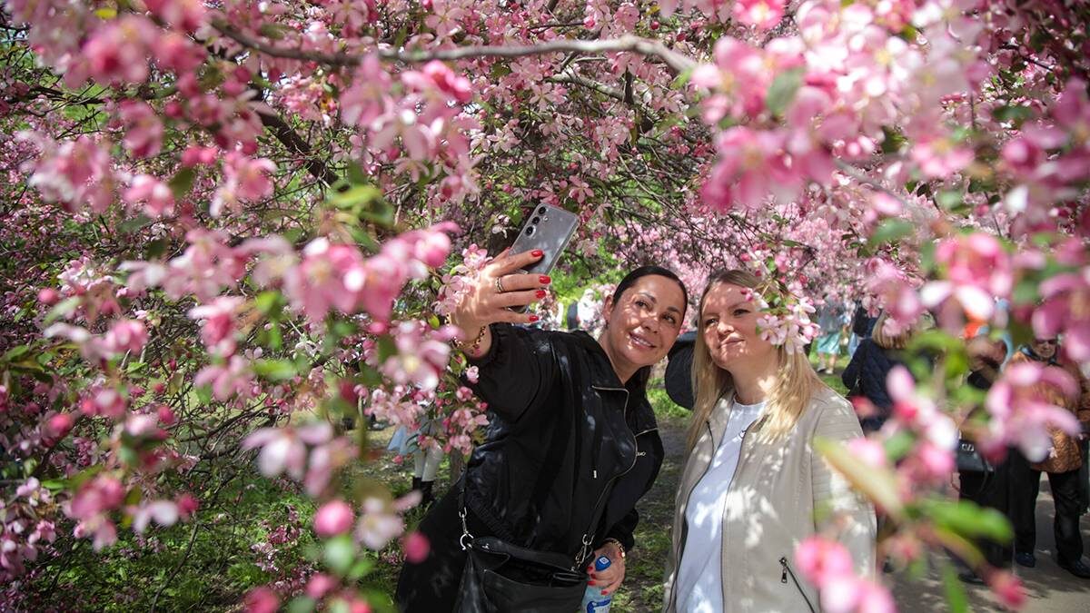    Фото: Артур Новосильцев / АГН Москва