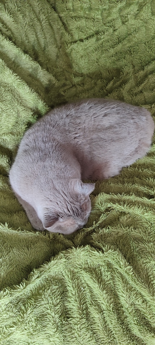 Вот, прямо сейчас. В жару на плед не затащишь