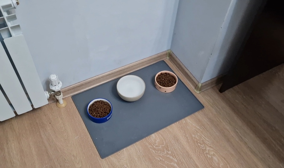 По всей квартире оставили несколько мисок с водой и едой