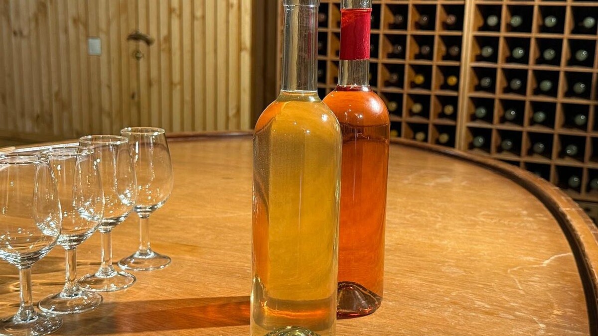    Фото: телеканал «Краснодар»