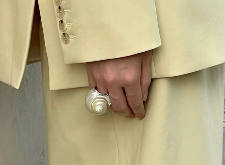 ТРЕНДЫ лето 2025. 33 главных тренда. Ракушки и коровий принт!