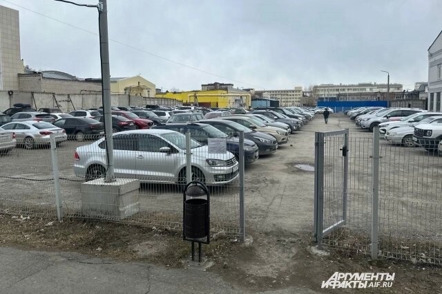    Агрессивные собаки бегали по парковке Фото:  АиФ/ Александр Тепикин