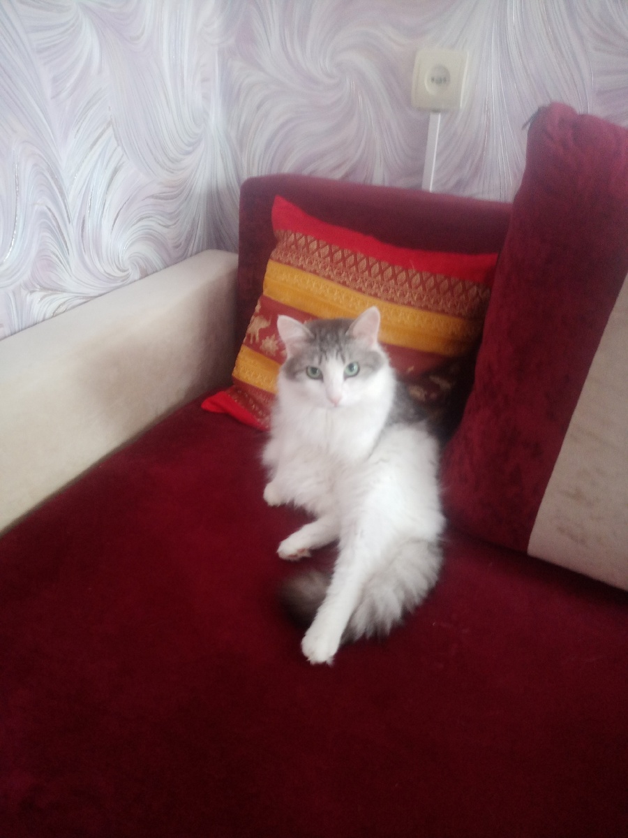 Юшик отдыхает