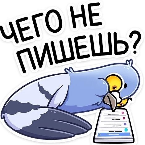 Это чувство,когда прилетев в другую страну-сразу пишешь родным и близким,что долетел и погода отличная! 