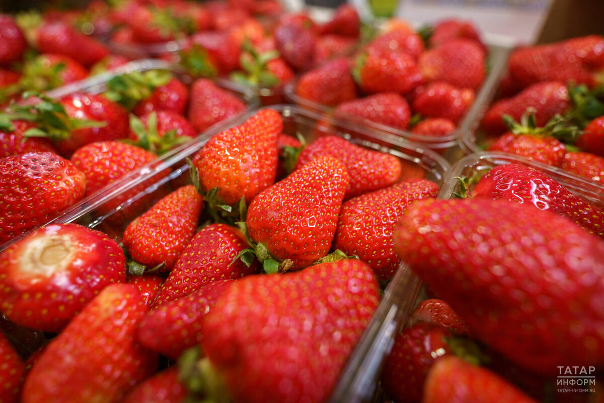 Фото: © Владимир Васильев / «Татар-информ»