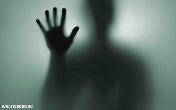 Источник https://whatisgood.ru/tv/show/za-steklom-s-chego-nachinalis-realiti-shou-v-rossii/