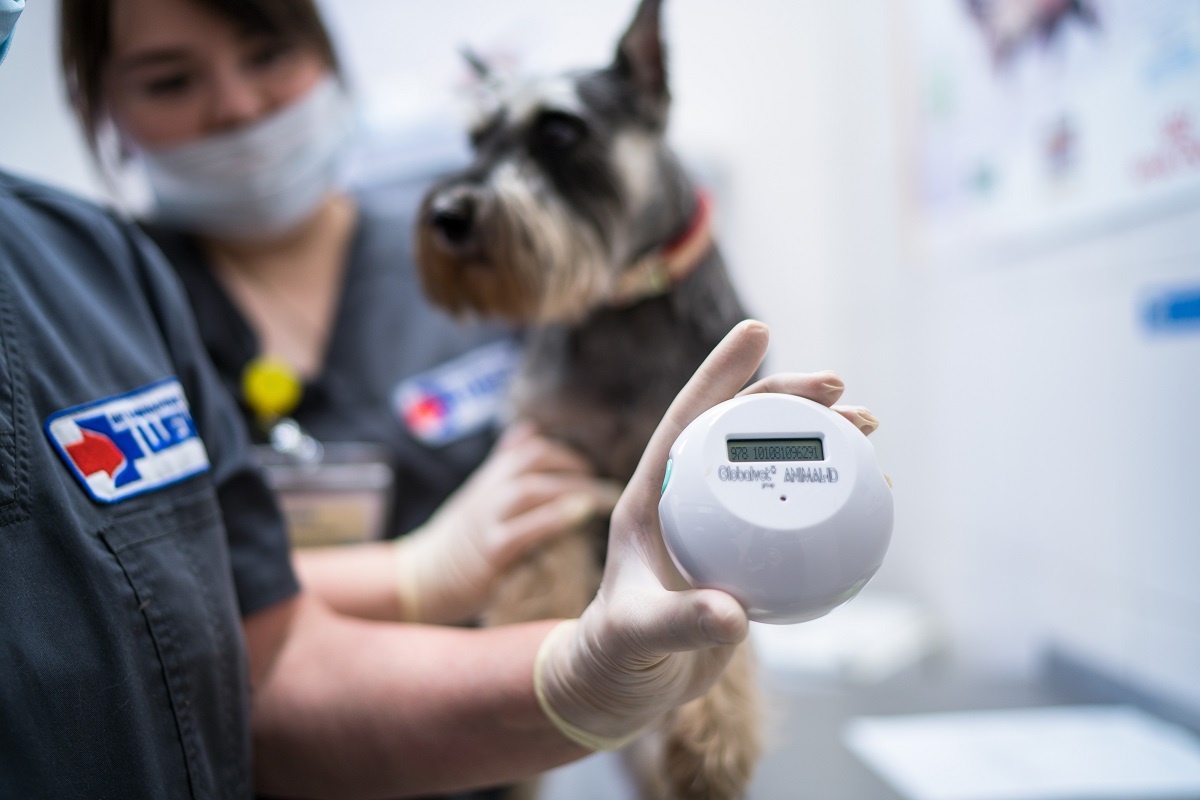 Фото: Александр Плонский / «ВиЖ»