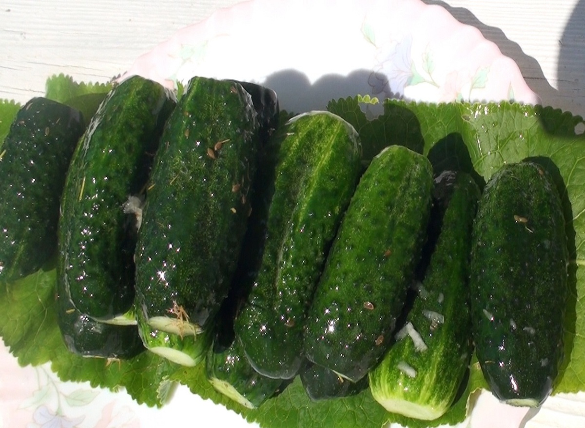  Малосольный огурчик с молодой картошечкой с маслом, укропом и зеленым лучком, ммм... Фото автора
