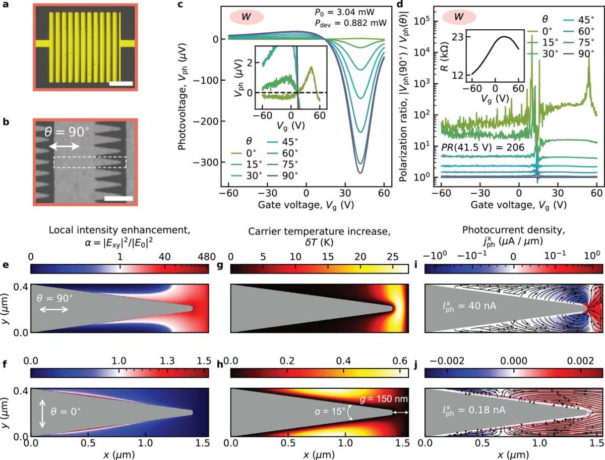    Рисунок 2. Экспериментальная демонстрация и теоретическое моделирование фототока в образце с метаповерхностью типа «пила». Как эксперимент так и модель демонстрируют фототок при поляризации света вдоль заострений в 200 раз больший, чем при поляризации поперек. Ориентация поляризации вдоль соответствует фиолетовой кривой на экспериментальных данных и верхней карте плотности фототоков / © Валентин Семкин, Advanced Optical Materials