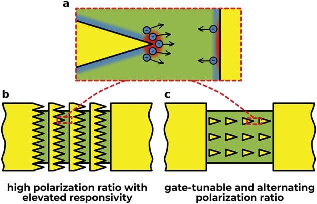    Рисунок 1. (a) Схематичное изображение принципа работы АСМП детекторов: усиление электрического поля с последующим нагревом электронов вблизи заостренных вершин АСМП приводит к возникновению термоэлектрического фототока – движения электронов от горячего края к холодному (b), (c) Варианты метаповерхностей с различной функциональностью: АСМП типа «пила» (b) и АСМП типа «ковер» (c) / © Валентин Семкин и др., Advanced Optical Materials