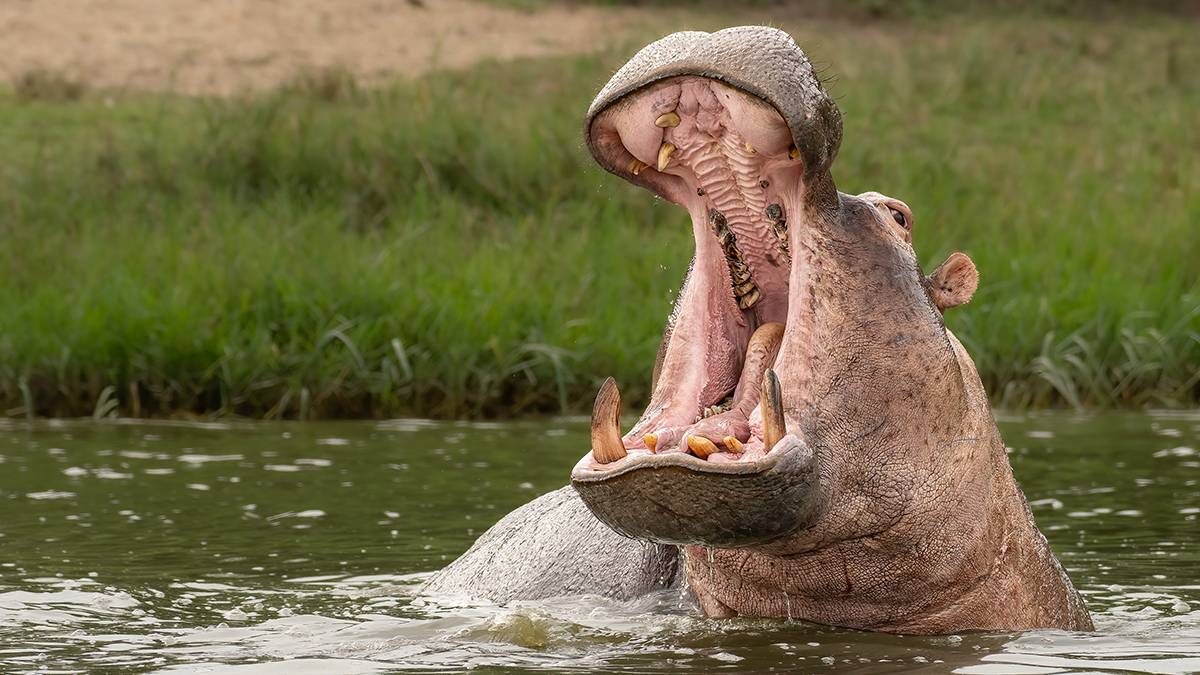    Фото: shutterstock