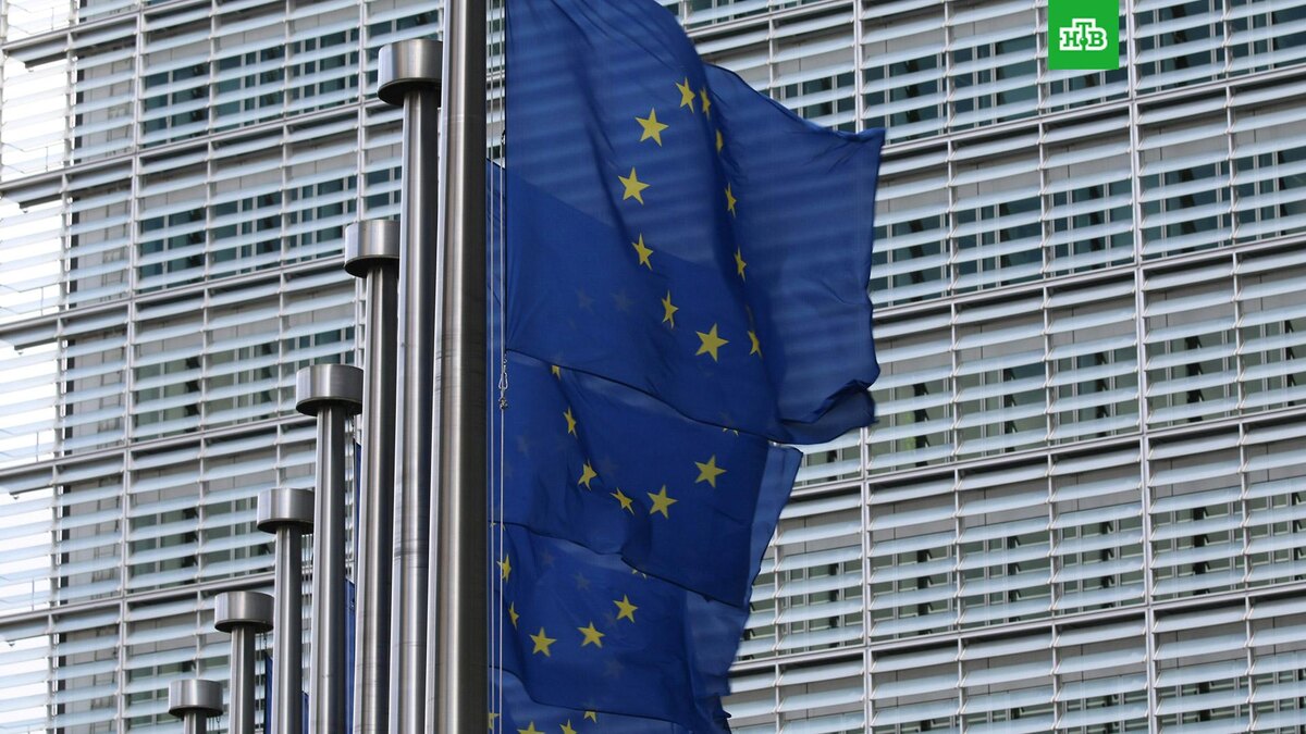    Фото: Guillaume P?rigois / unsplash.com