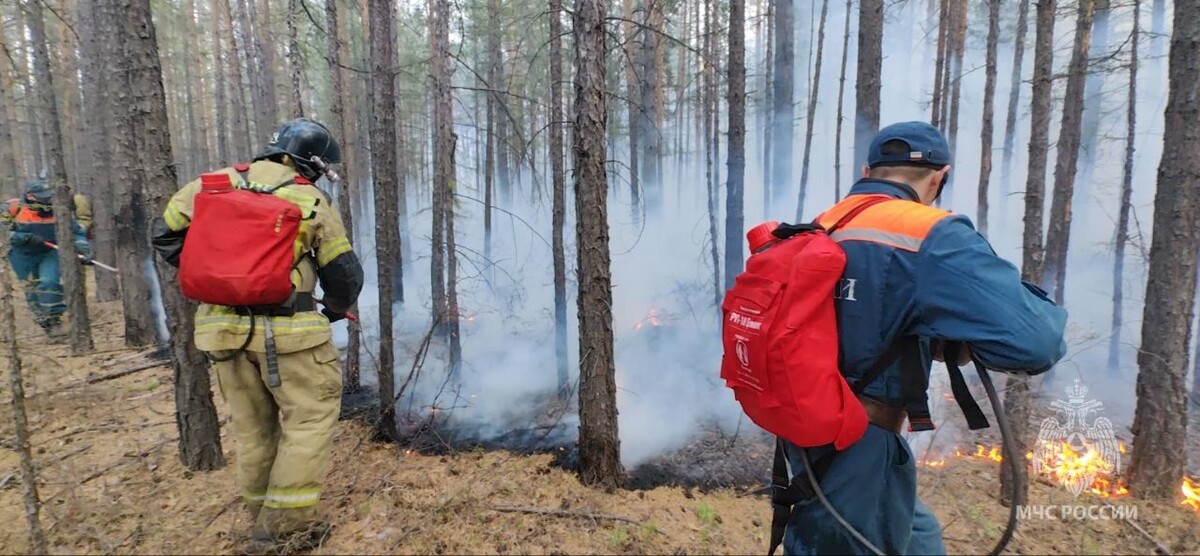    Фото: Пресс-служба ГУ МЧС России по Забайкальскому краю   📷   Фото: Пресс-служба Минприроды Забайкалья